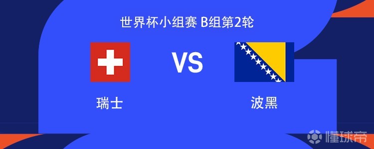 瑞士与波黑的比赛