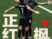 枫叶正红时:加拿大队的历史性胜利
